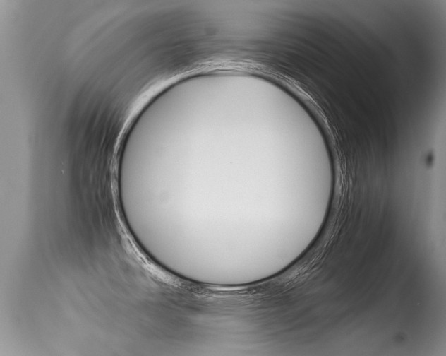 X0000113291486200909140952