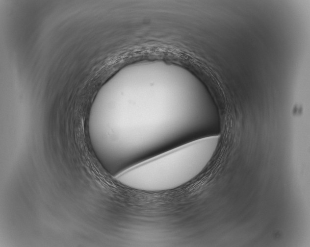 X0000113291489200909140952