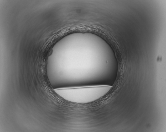 X0000113291490200909140952