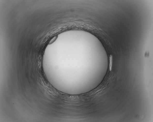 X0000113291491200909140952