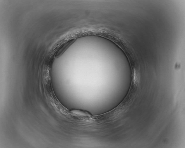 X0000113291492200909140952