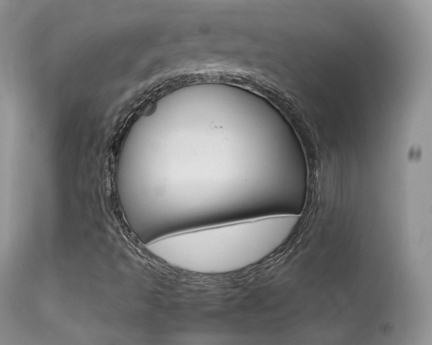 X0000113291493200909140952