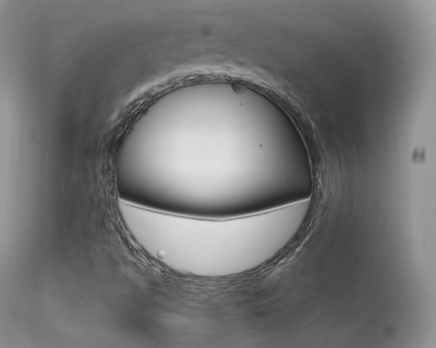 X0000113291494200909140952