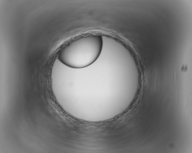 X0000113291496200909140952
