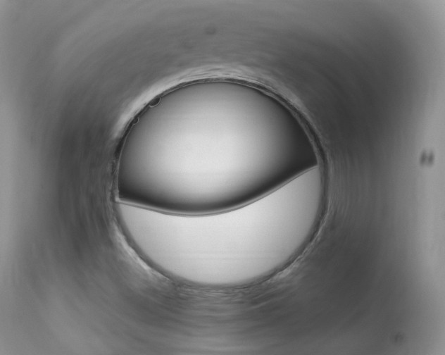 X0000113291500200909140952