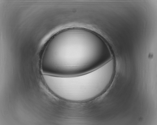 X0000113291502200909140952