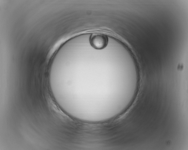 X0000113291506200909140952