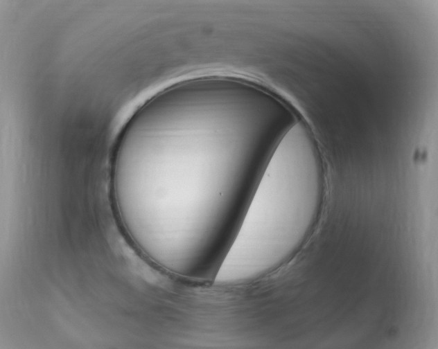 X0000113291508200909140952