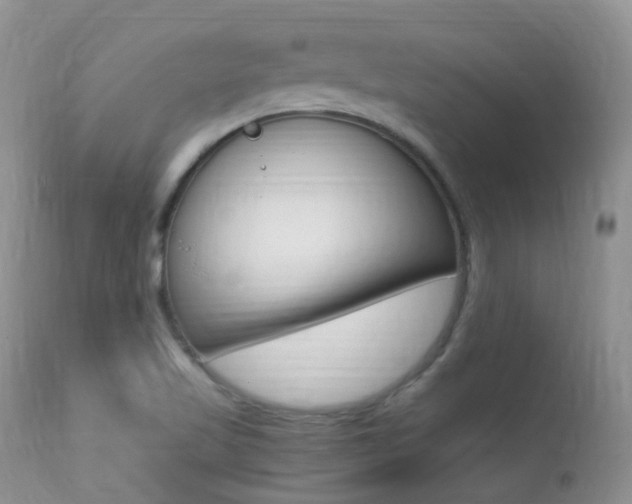 X0000113291509200909140952