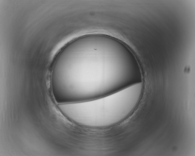 X0000113291510200909140952