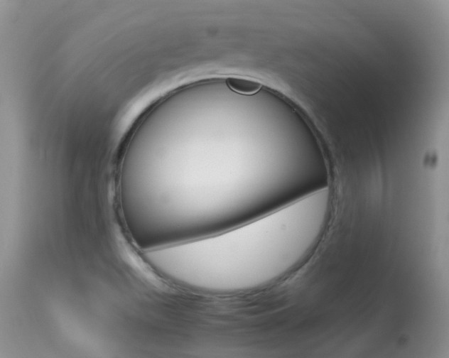 X0000113291511200909140952