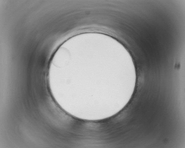 X0000113291514200909140952
