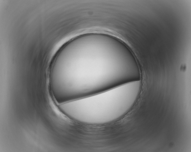 X0000113291515200909140952