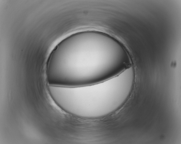 X0000113291516200909140952