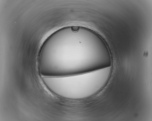 X0000113291517200909140952