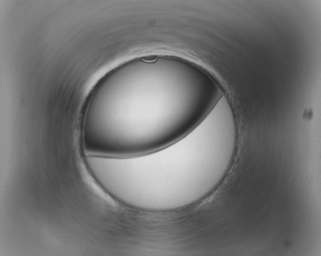 X0000113291518200909140952