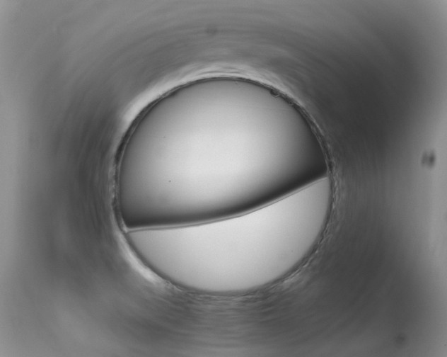 X0000113291519200909140952