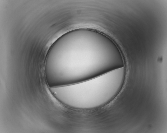 X0000113291521200909140952