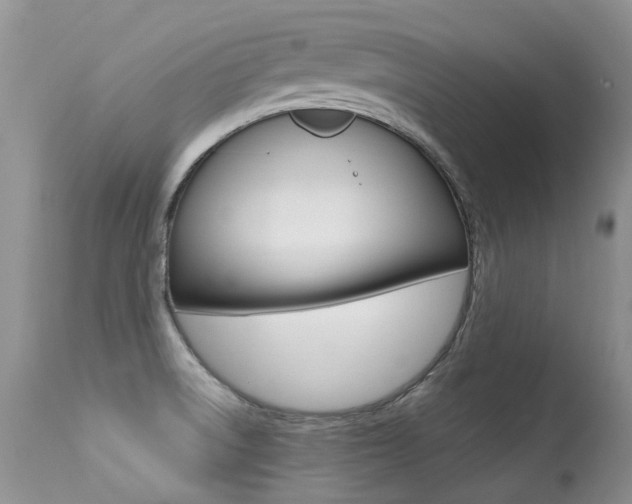 X0000113291522200909140952