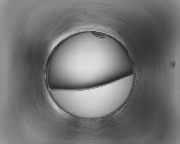X0000113291523200909140952