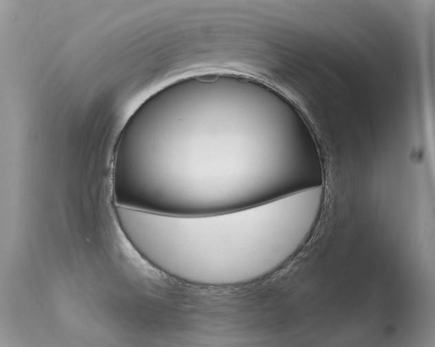 X0000113291524200909140952