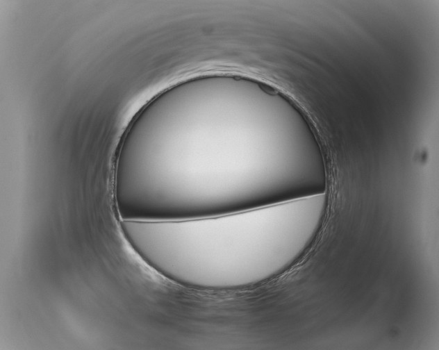 X0000113291527200909140952