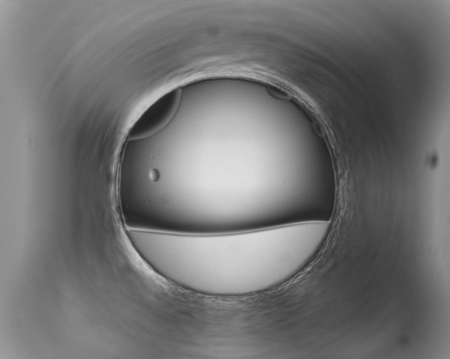 X0000113291528200909140952