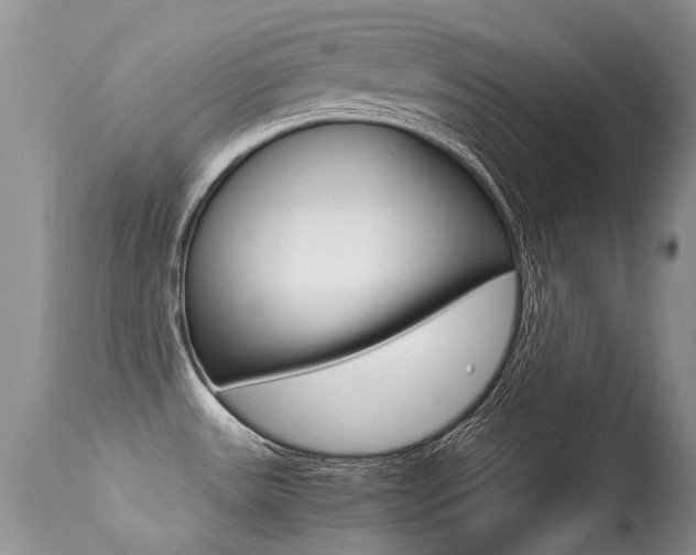 X0000113291531200909140952