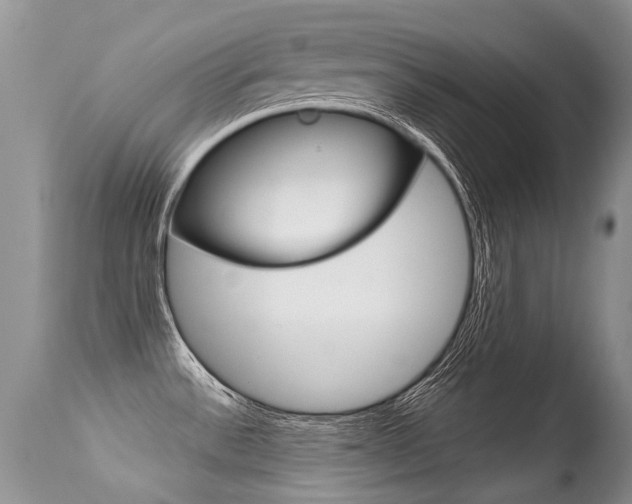 X0000113291532200909140952