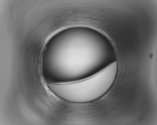 X0000113291534200909140952
