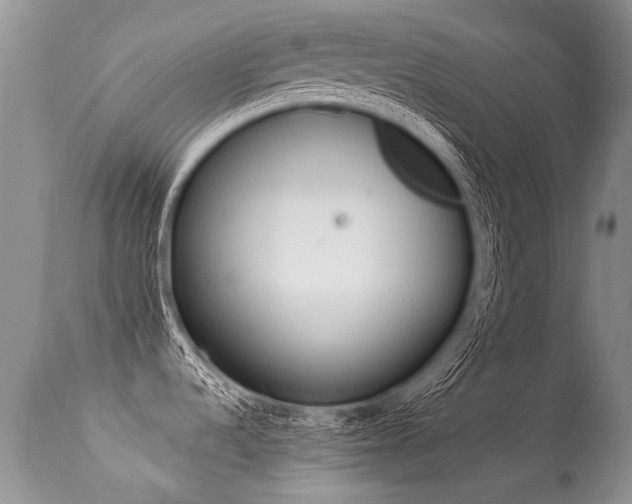 X0000113291536200909140952