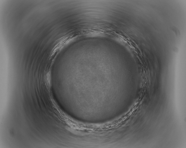 X0000113290002200909141214