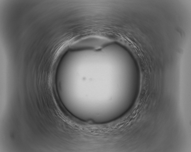 X0000113290003200909141214