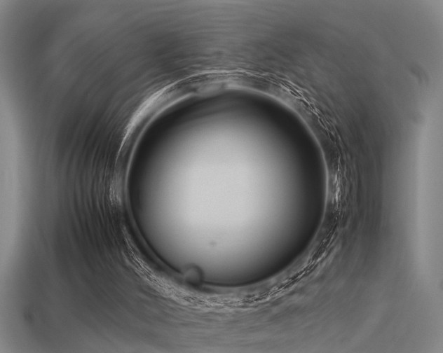 X0000113290004200909141214