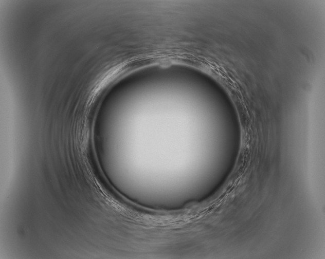 X0000113290005200909141214