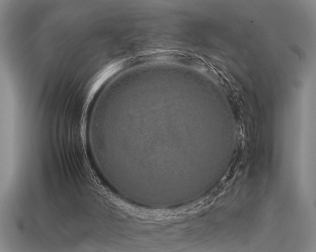 X0000113290006200909141214