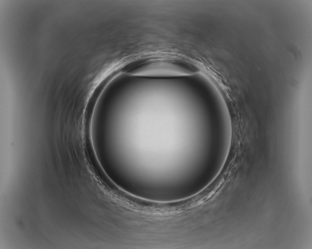 X0000113290008200909141214