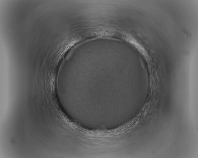 X0000113290009200909141214