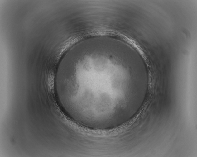 X0000113290010200909141214