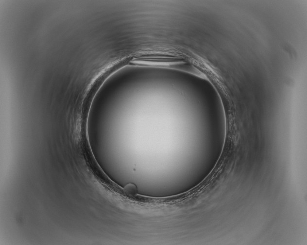 X0000113290012200909141214