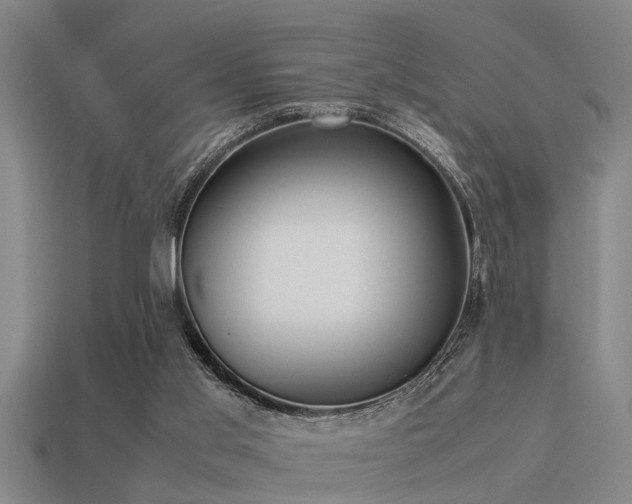 X0000113290013200909141214