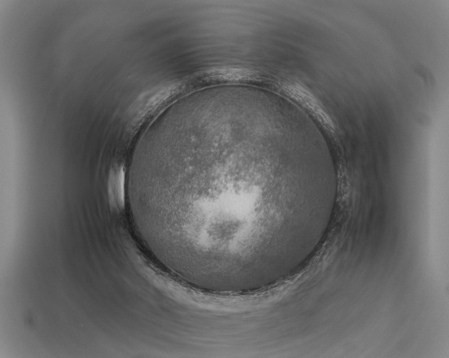 X0000113290014200909141214