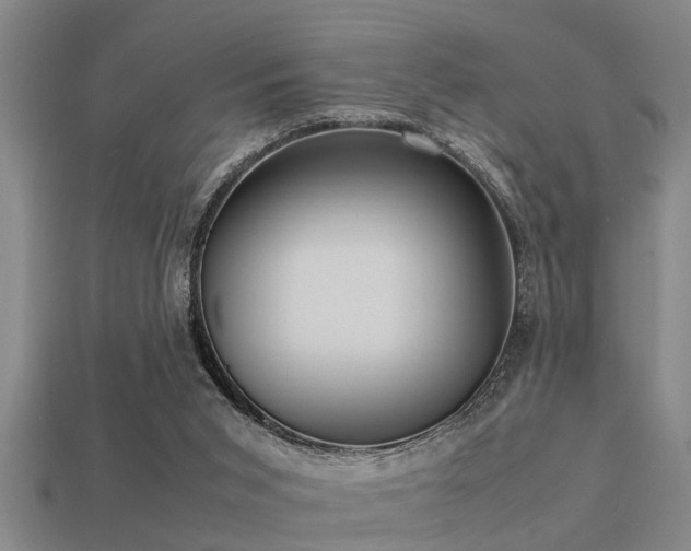 X0000113290015200909141214