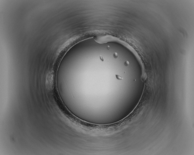 X0000113290016200909141214