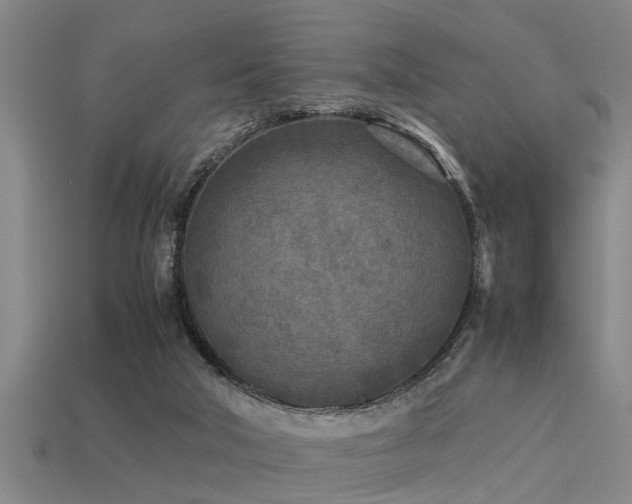 X0000113290018200909141214