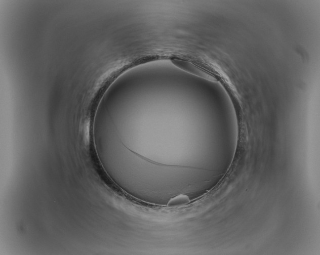 X0000113290019200909141214