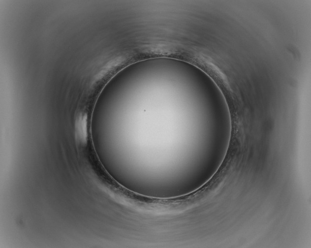 X0000113290020200909141214