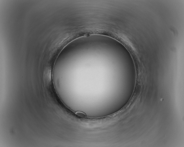 X0000113290021200909141214