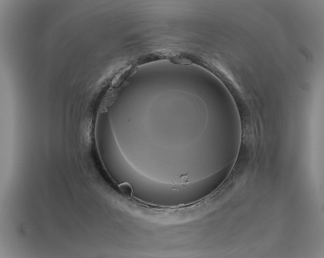 X0000113290023200909141214