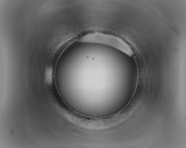 X0000113290024200909141214